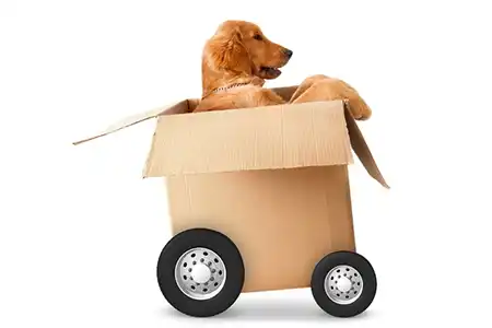 Moving Box Delivery